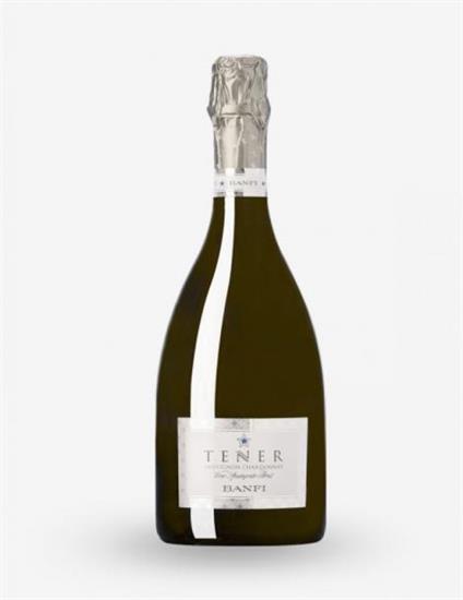 VINO SPUMANTE BRUT TENER BANFI LT. 1,500