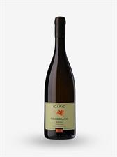 TOSCANA BIANCO IGT 2023 TREBBIANO ICARIO LT. 0,750