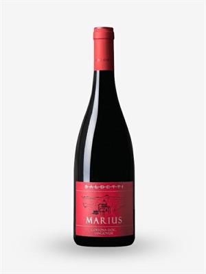 CORTONA DOC 2020 MARIUS BALDETTI LT. 0,750
