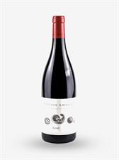 CORTONA DOC SYRAH 2022 STEFANO AMERIGHI LT 0,750