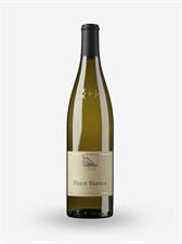 ALTO ADIGE DOC 2024 PINOT BIANCO TERLANO LT. 0,750