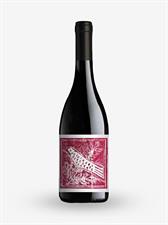 TOSCANA ROSSO IGT 2023 PINOT NERO  ALIOTTI  0,750