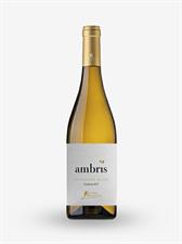 UMBRIA BIANCO IGT 2022 SAUVIGNON AMBRIS BIO LT 0,750