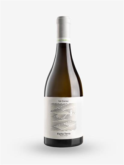 BERGAMASCA IGP PINOT GRIGIO 2024 FORTE TERRA BIO LT.0,75