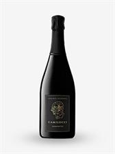 FRANCIACORTA DOSAGGIO ZERO AMMONITES CAMILUCCI LT.1,500