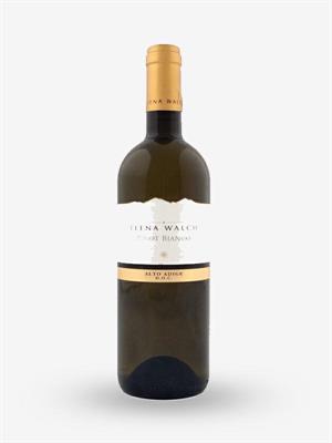ALTO ADIGE DOC PINOT BIANCO 2025 ELENA WALCH LT.0,750