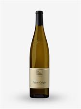 ALTO ADIGE DOC 2025 PINOT GRIGIO TERLANO LT. 0,750