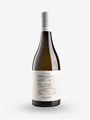 BERGAMASCA IGP PINOT GRIGIO 2025 FORTE TERRA BIO LT.0,75