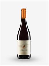TOSCANA ROSSO IGT 2024 PINOT NERO MONTAUTO LT 0,750